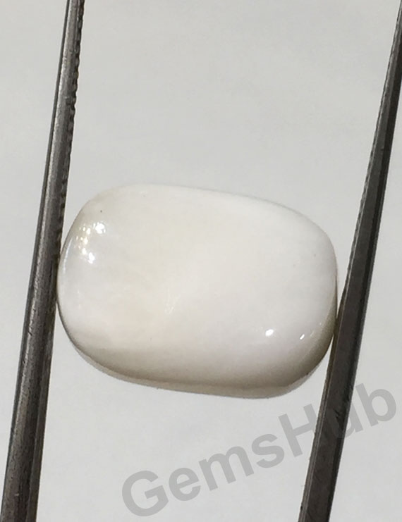 11.25 ratti/10.10 ct Natural Certified  White Coral/सफ़ेद मूंगा